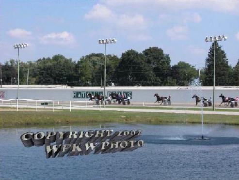 Horses Race Down The Backside